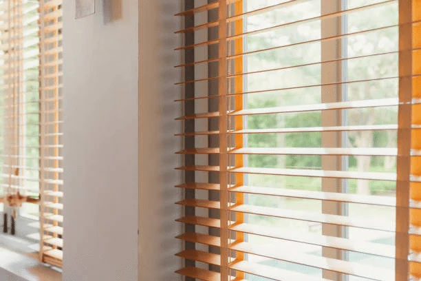 Roller Shades in Houston