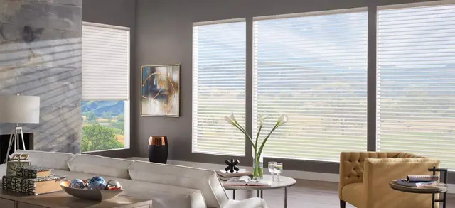 Window shades inspiration from the All Prive gallery