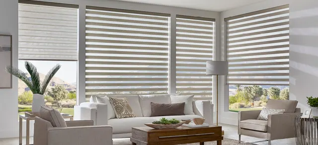Window shades inspiration from the All Prive gallery