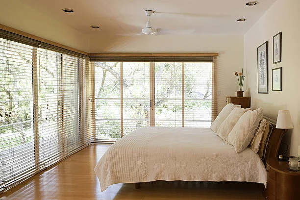 Vertical Blinds