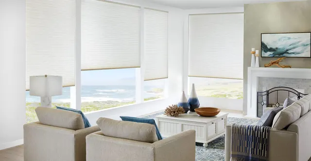 Window shades inspiration from the All Prive gallery